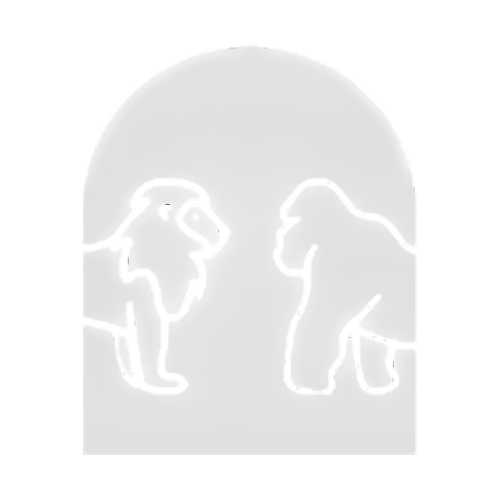 51x49 logo