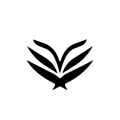 SocksCarving logo